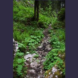 2007-05_09Saletsteig (175).JPG